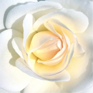 februari | 2015 | Ambienti