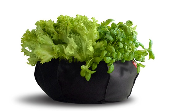 GardenDrop-Mini-Urbanero