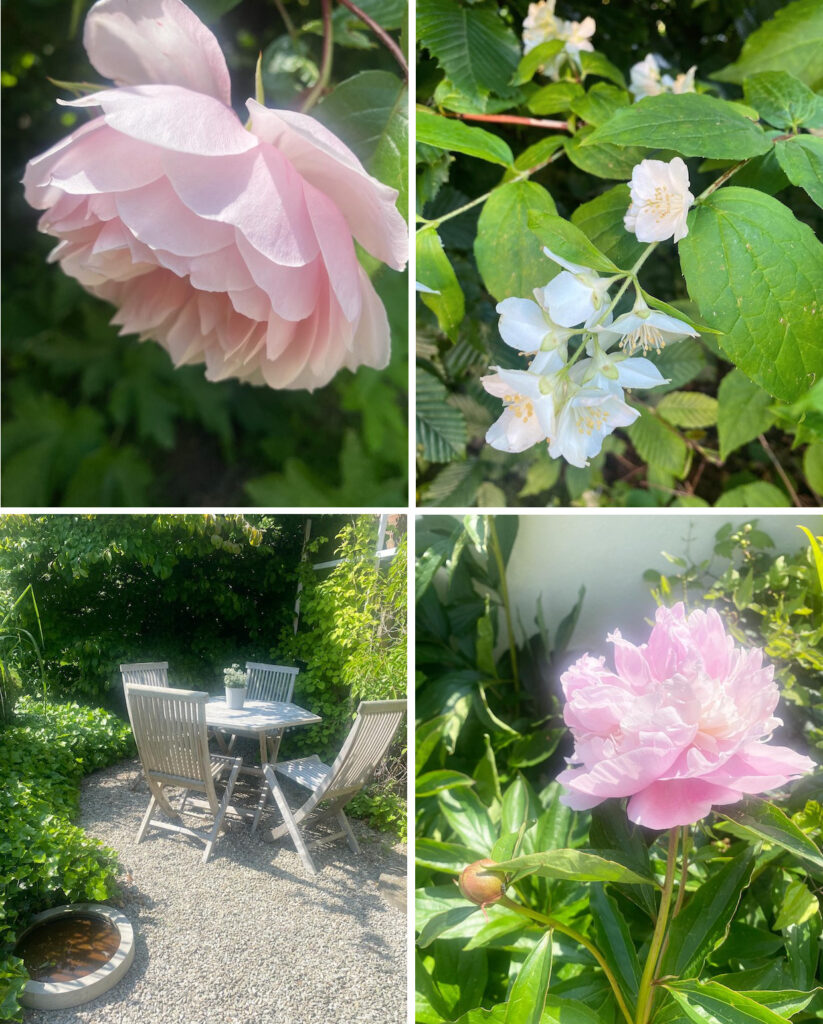 Sommar i trädgården
