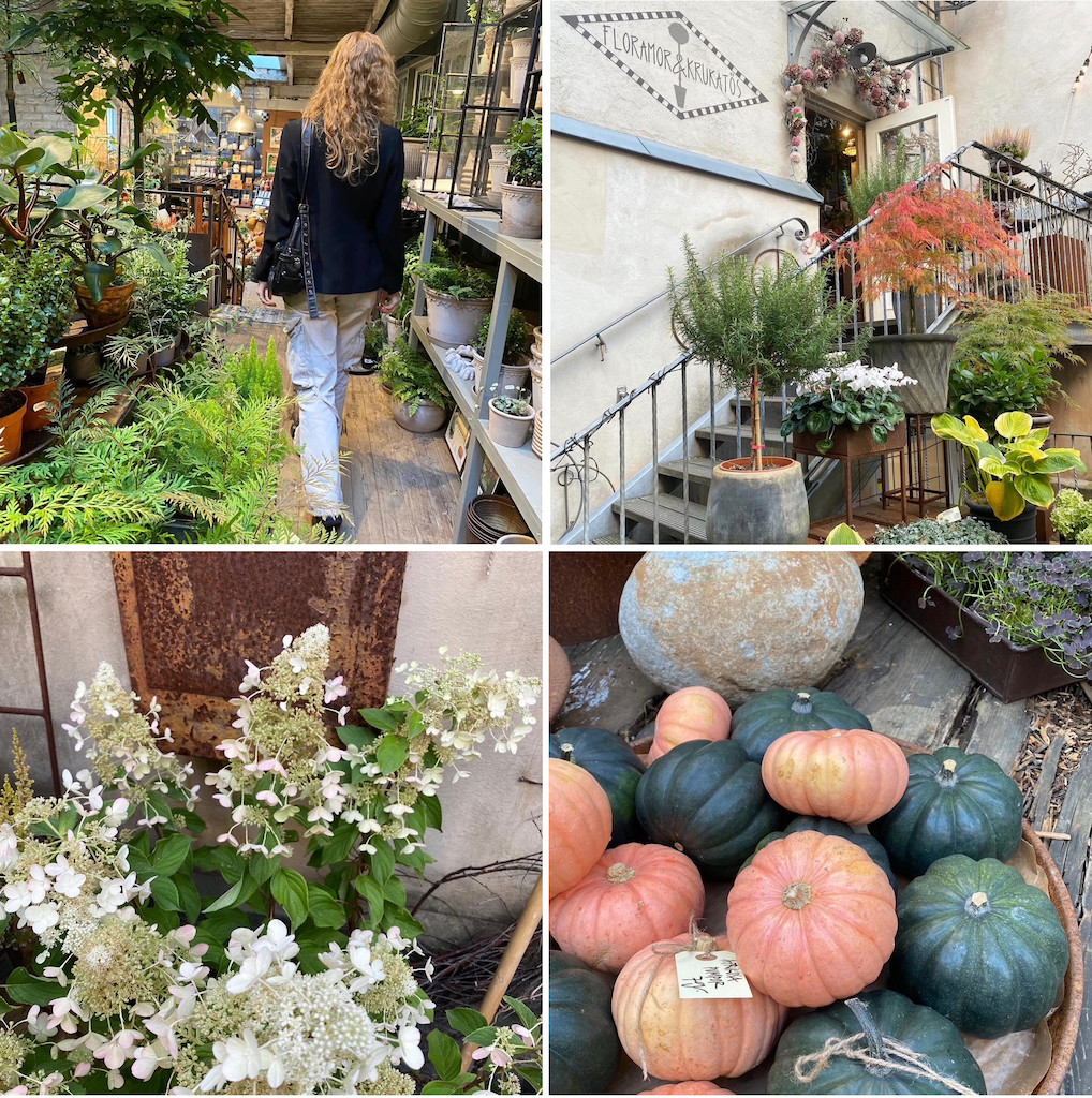 Höstinspiration hos Floramor & Krukatös i Göteborg