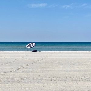 Strand i Skanör
